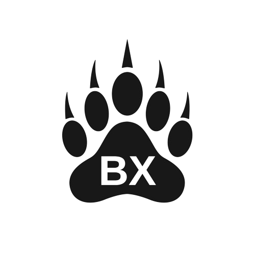 BX Elementary